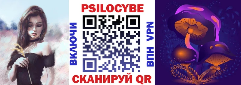 Псилоцибиновые грибы Psilocybe  Багратионовск 